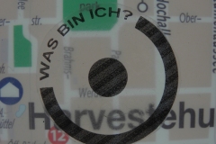 flexicurity03_11.jpg